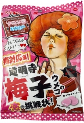 Жевательные конфеты Ribon с кислой начинкой Слива 70 гр